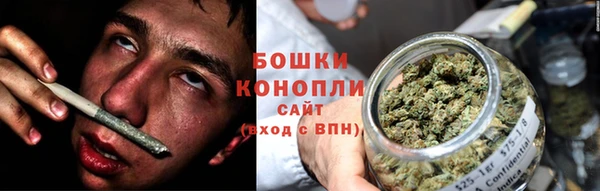 спайс Баксан