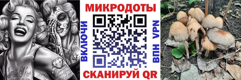 Псилоцибиновые грибы прущие грибы  Волгоград 